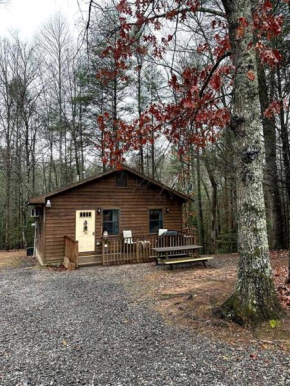 Private cozy cabin in the woods with great view